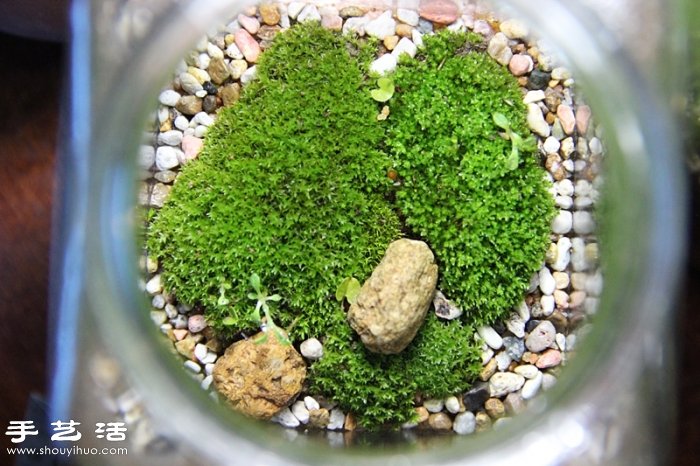 DIY可愛(ài)的苔蘚造景 自制漂亮苔蘚微景觀 -  rpnrmr.com