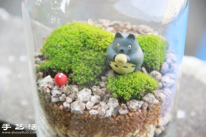 DIY可愛(ài)的苔蘚造景 自制漂亮苔蘚微景觀 -  rpnrmr.com