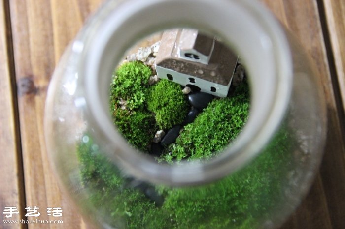 DIY可愛(ài)的苔蘚造景 自制漂亮苔蘚微景觀 -  rpnrmr.com