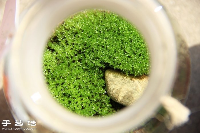 DIY可愛(ài)的苔蘚造景 自制漂亮苔蘚微景觀 -  rpnrmr.com