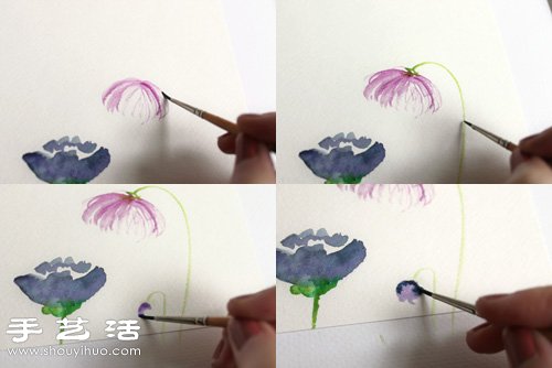 水彩畫教程：教你各種漂亮花卉的水彩畫法 -  rpnrmr.com
