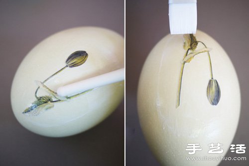 精致彩蛋工藝品制作圖解教程 -  rpnrmr.com