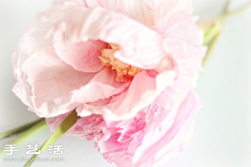皺紋紙/宣紙DIY手工制作美麗逼真紙花 -  rpnrmr.com