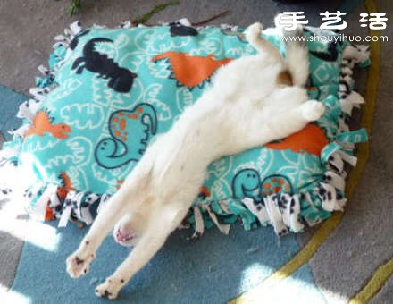 無需針線活的貓咪墊子手工制作圖解教程 -  rpnrmr.com