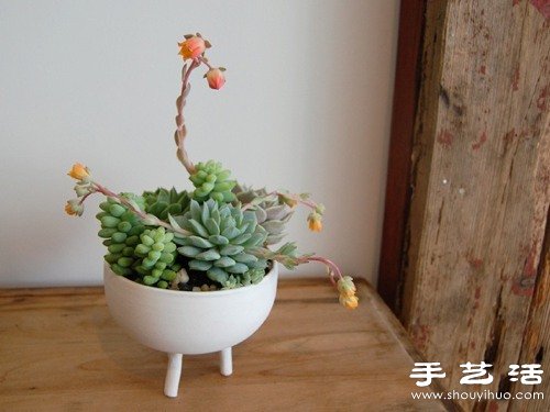 裝飾現(xiàn)代風(fēng)格家居的10款創(chuàng)意花盆盆栽 -  rpnrmr.com