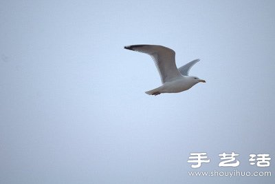 自己動(dòng)手給長(zhǎng)鏡頭DIY瞄準(zhǔn)器 -  rpnrmr.com
