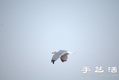 自己動(dòng)手給長(zhǎng)鏡頭DIY瞄準(zhǔn)器 -  rpnrmr.com