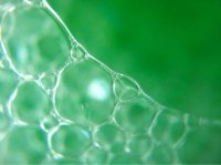 激光筆DIY改造 手機(jī)也能玩微距攝影！ -  rpnrmr.com
