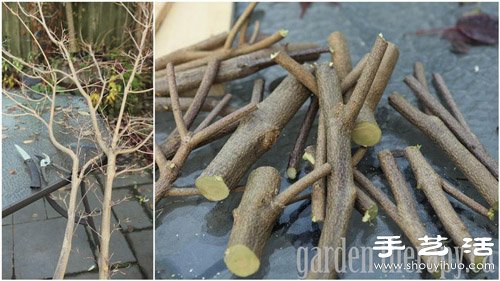 樹枝+木板 手工制作環(huán)保掛衣架 -  rpnrmr.com