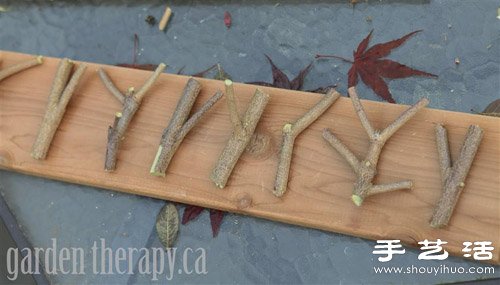樹枝+木板 手工制作環(huán)保掛衣架 -  rpnrmr.com