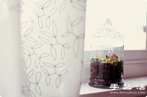 手工制作精致的玻璃瓶盆景圖解教程 -  rpnrmr.com
