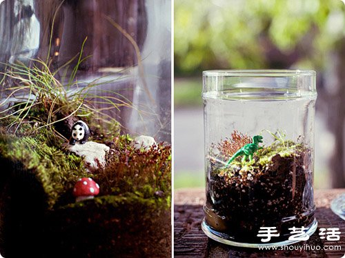 手工制作精致的玻璃瓶盆景圖解教程 -  rpnrmr.com