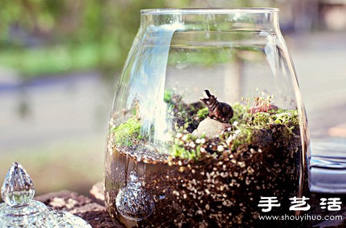 手工制作精致的玻璃瓶盆景圖解教程 -  rpnrmr.com