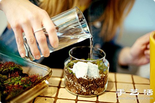 手工制作精致的玻璃瓶盆景圖解教程 -  rpnrmr.com