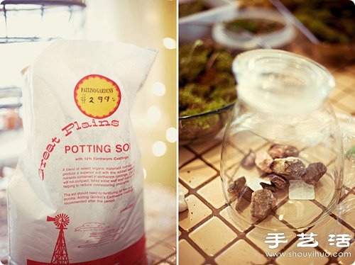 手工制作精致的玻璃瓶盆景圖解教程 -  rpnrmr.com