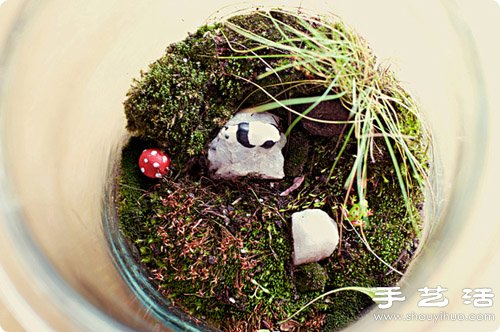 手工制作精致的玻璃瓶盆景圖解教程 -  rpnrmr.com