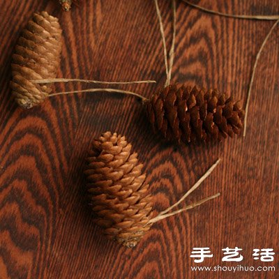 松子變廢為寶 DIY漂亮節(jié)日裝飾品 -  rpnrmr.com