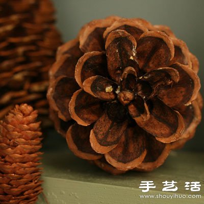 松子變廢為寶 DIY漂亮節(jié)日裝飾品 -  rpnrmr.com