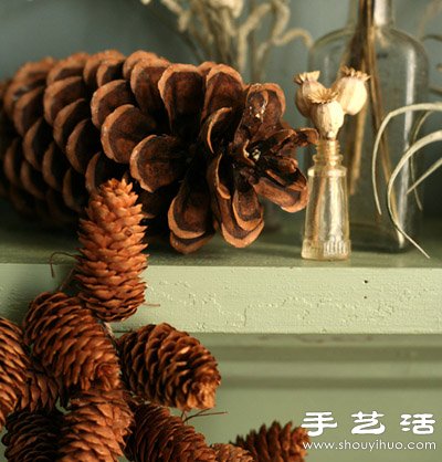 松子變廢為寶 DIY漂亮節(jié)日裝飾品 -  rpnrmr.com