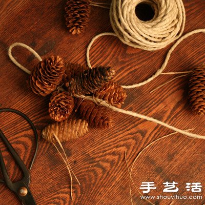 松子變廢為寶 DIY漂亮節(jié)日裝飾品 -  rpnrmr.com