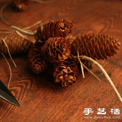 松子變廢為寶 DIY漂亮節(jié)日裝飾品 -  rpnrmr.com