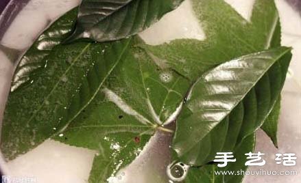 樹葉標本怎么做 樹葉標本制作方法 -  rpnrmr.com