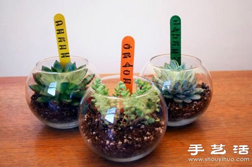 廢品利用:12個廢物利用小技巧DIY創(chuàng)意盆栽 -  rpnrmr.com