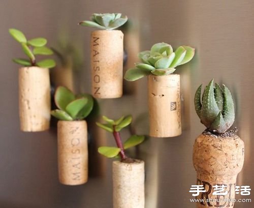 廢品利用:12個廢物利用小技巧DIY創(chuàng)意盆栽 -  rpnrmr.com