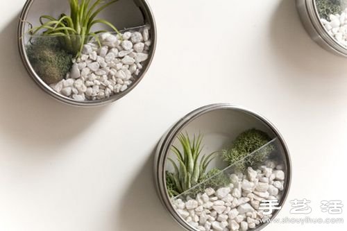 廢品利用:12個廢物利用小技巧DIY創(chuàng)意盆栽 -  rpnrmr.com