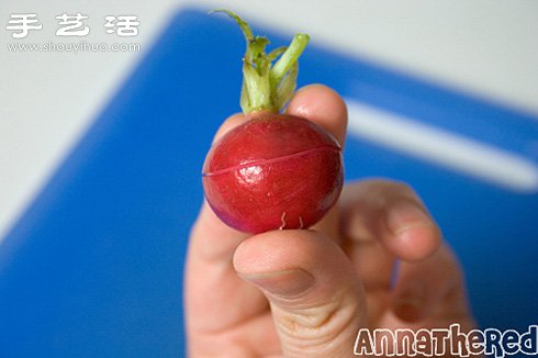 超簡單的水蘿卜DIY馬里奧小制作 -  rpnrmr.com