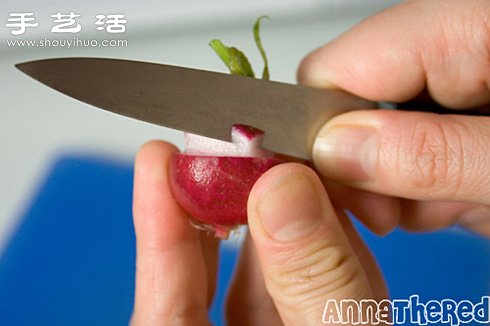 超簡單的水蘿卜DIY馬里奧小制作 -  rpnrmr.com