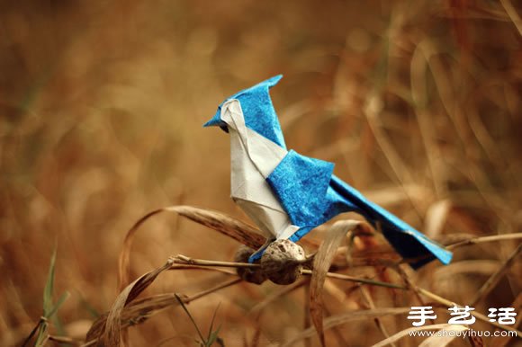 栩栩如生的創(chuàng)意折紙小動(dòng)物 -  rpnrmr.com