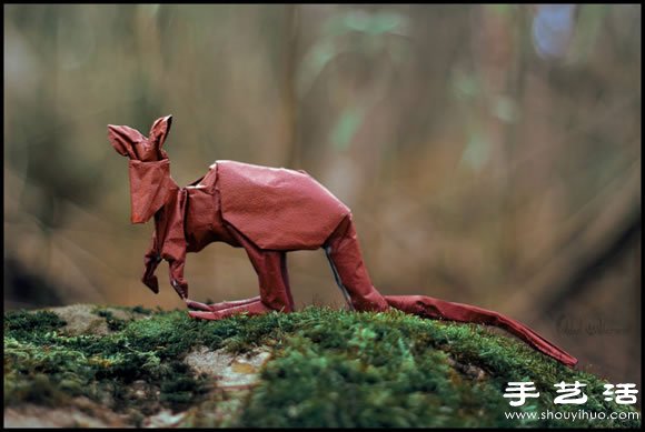 栩栩如生的創(chuàng)意折紙小動(dòng)物 -  rpnrmr.com