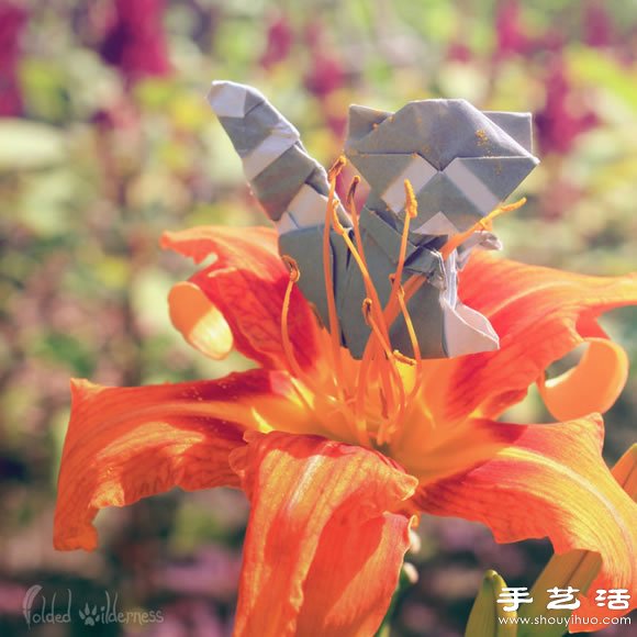 栩栩如生的創(chuàng)意折紙小動(dòng)物 -  rpnrmr.com