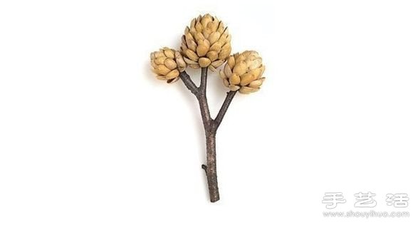 開心果殼+樹枝+橡皮泥 DIY裝飾堅果樹 -  rpnrmr.com