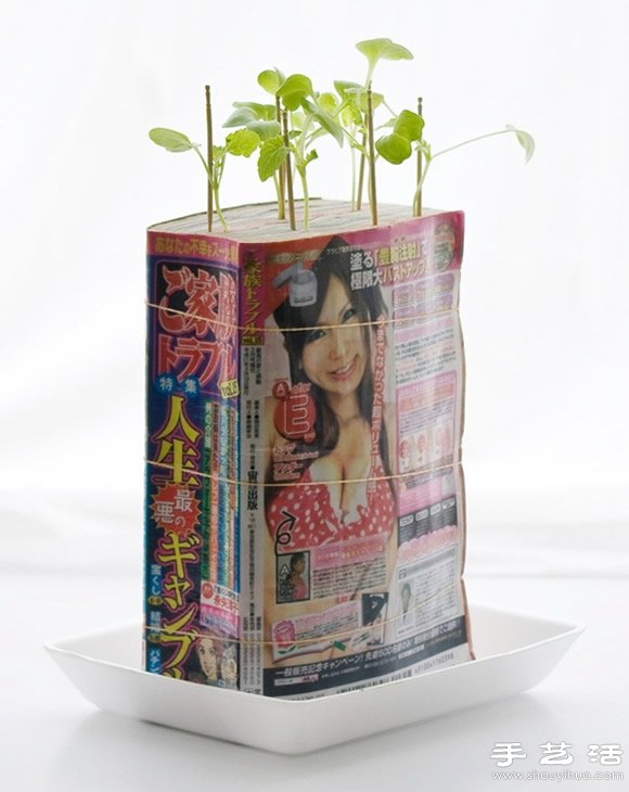 廢舊書籍作花盆 廢物利用種植蘿卜苗 -  rpnrmr.com