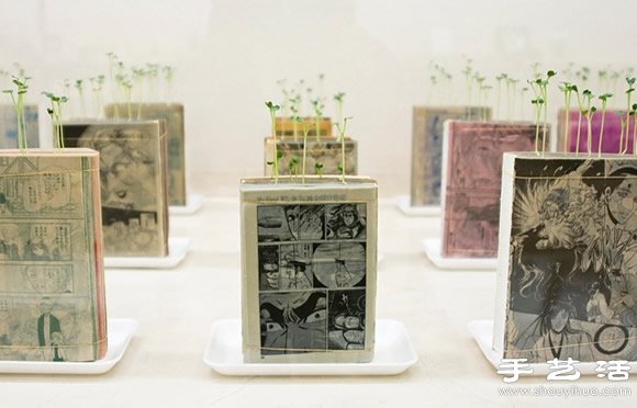 廢舊書籍作花盆 廢物利用種植蘿卜苗 -  rpnrmr.com