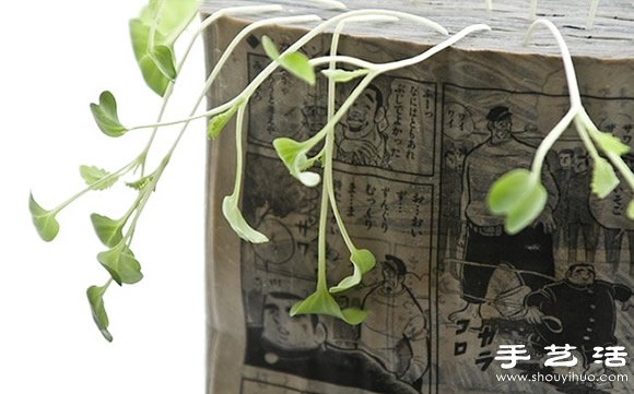 廢舊書籍作花盆 廢物利用種植蘿卜苗 -  rpnrmr.com
