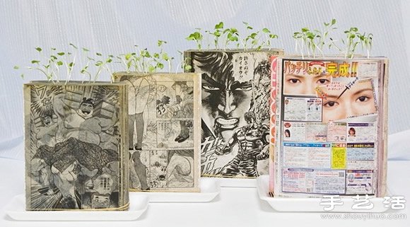 廢舊書籍作花盆 廢物利用種植蘿卜苗 -  rpnrmr.com