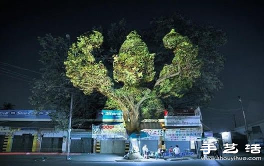 有點(diǎn)恐怖的樹木3D投影 -  rpnrmr.com
