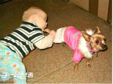 再怎么樣也不能餓到寶寶 -  rpnrmr.com