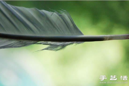自制鵝毛筆 鵝毛筆的制作方法教程 -  rpnrmr.com