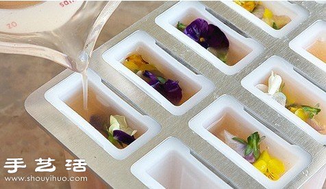 DIY好看又好吃的鮮花冰棍方法教程 -  rpnrmr.com
