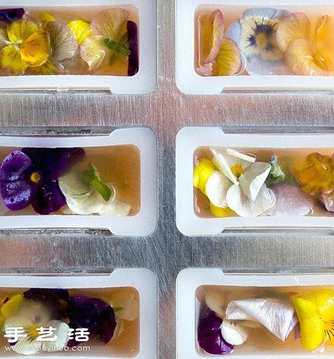 DIY好看又好吃的鮮花冰棍方法教程 -  rpnrmr.com