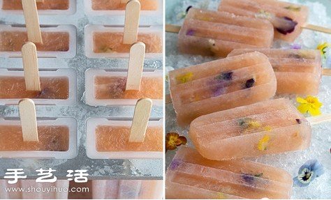 DIY好看又好吃的鮮花冰棍方法教程 -  rpnrmr.com