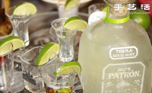 檸檬水怎么做 檸檬水的做法大全 -  rpnrmr.com