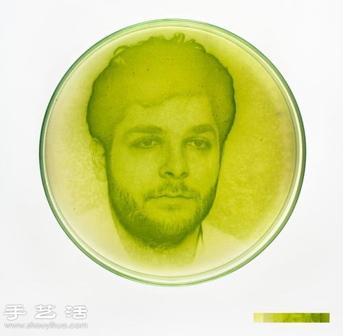 利用藻類微生物DIY制作創(chuàng)意海藻畫 -  rpnrmr.com