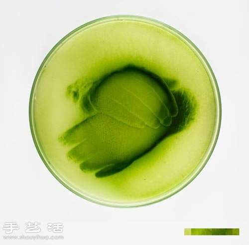 利用藻類微生物DIY制作創(chuàng)意海藻畫 -  rpnrmr.com