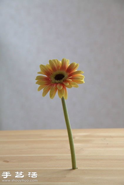簡(jiǎn)單玻璃瓶廢物利用 創(chuàng)意制作桌面花卉裝飾 -  rpnrmr.com