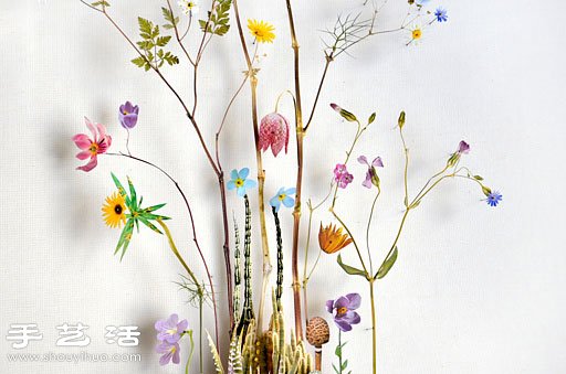 植物花草拼貼DIY美麗如詩的裝飾畫 -  rpnrmr.com